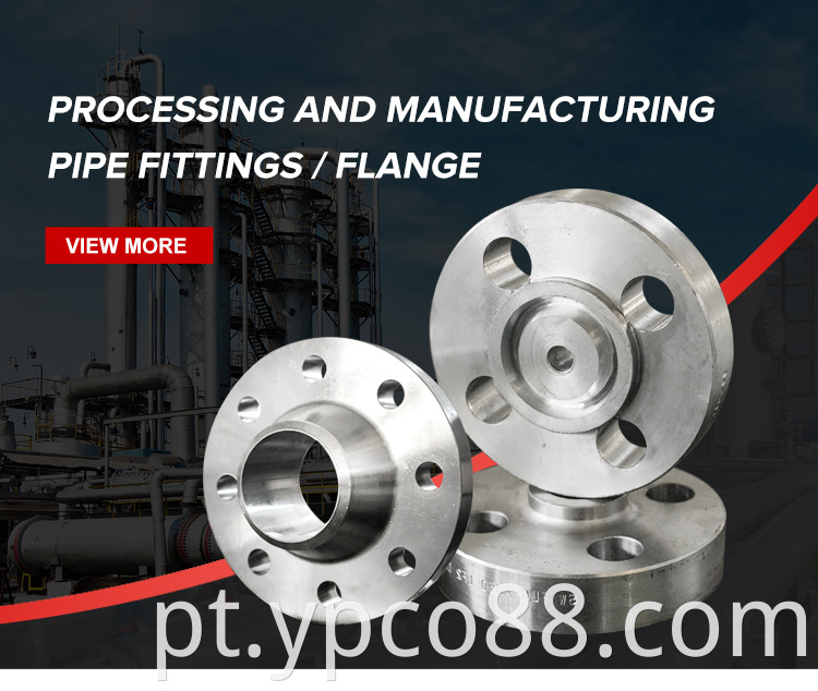 seamless high pressure WP Wrought plug wn so flange